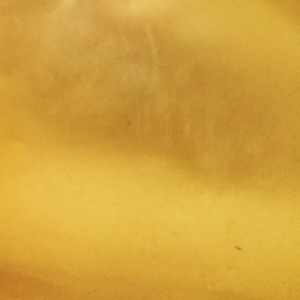 Bright Polished Bronze